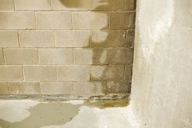 How to Fix Water Damage in Your Basement Walls