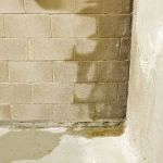 How to Fix Water Damage in Your Basement Walls