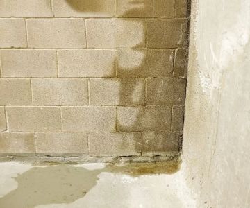 How to Fix Water Damage in Your Basement Walls