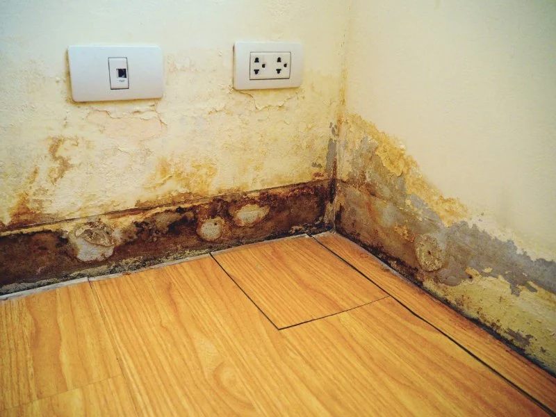 How to Spot and Prevent Water Damage in Your Walls