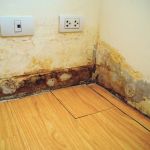 How to Spot and Prevent Water Damage in Your Walls