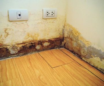 How to Spot and Prevent Water Damage in Your Walls