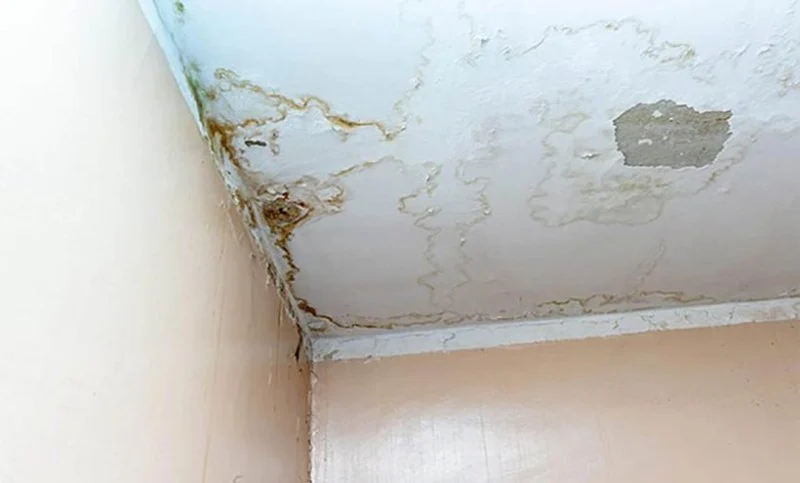 How to Identify Water Damage in Your Ceiling and Fix It