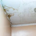 How to Identify Water Damage in Your Ceiling and Fix It