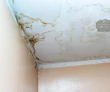 How to Identify Water Damage in Your Ceiling and Fix It