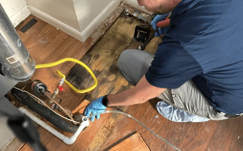What to Expect During Water Damage Restoration: An In-Depth Look
