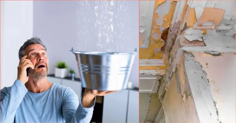 How to Prevent Water Damage in Your Roof: Tips for Homeowners