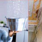 How to Prevent Water Damage in Your Roof: Tips for Homeowners