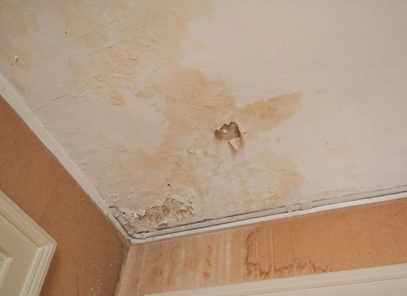 How to Spot Water Damage Behind Your Drywall