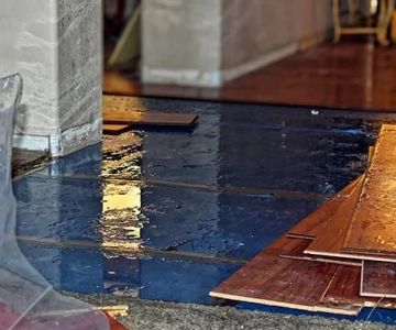 The Risks of Ignoring Water Damage in Your Home’s Flooring