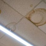 How to Repair Water-Damaged Ceiling Tiles: A Step-by-Step Guide