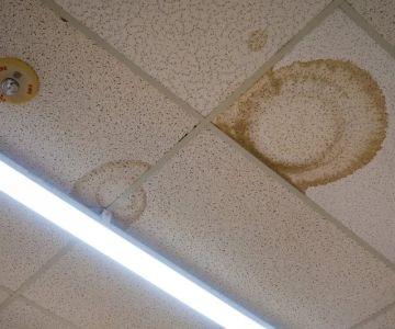 How to Repair Water-Damaged Ceiling Tiles: A Step-by-Step Guide