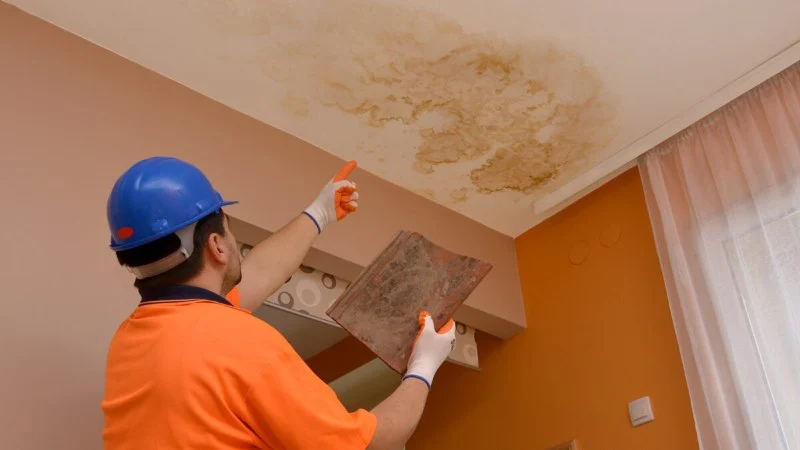 The Top 5 Signs of Water Damage You Shouldn't Ignore | Protect Your Home