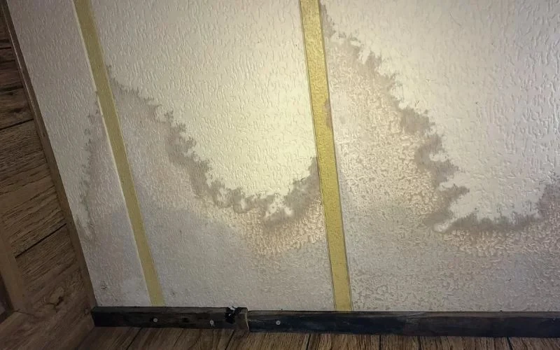 How to Spot and Prevent Water Damage in Your Walls | Reliable Damage Hub