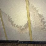 How to Spot and Prevent Water Damage in Your Walls | Reliable Damage Hub