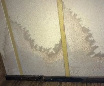 How to Spot and Prevent Water Damage in Your Walls | Reliable Damage Hub