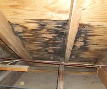 How to Identify Water Damage in Your Roof and Attic: Signs and Solutions