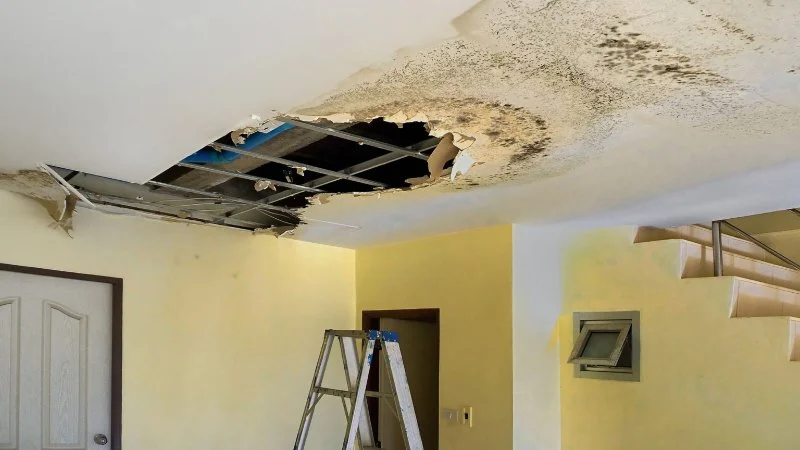 How to Restore Water-Damaged Entire Home Layouts: Step-by-Step Guide