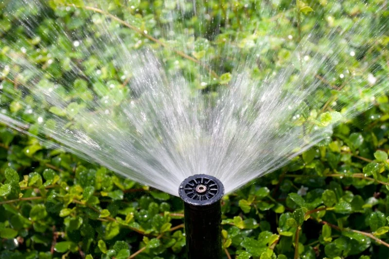 How to Prevent Water Damage from Sprinkler Systems