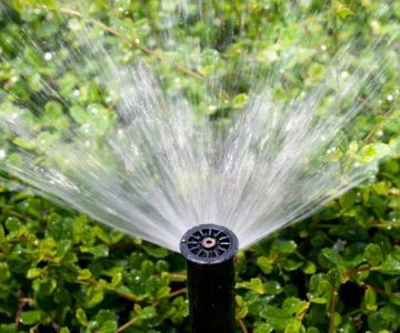 How to Prevent Water Damage from Sprinkler Systems