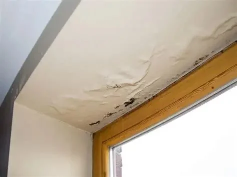 How to Restore Water-Damaged Walls and Ceilings