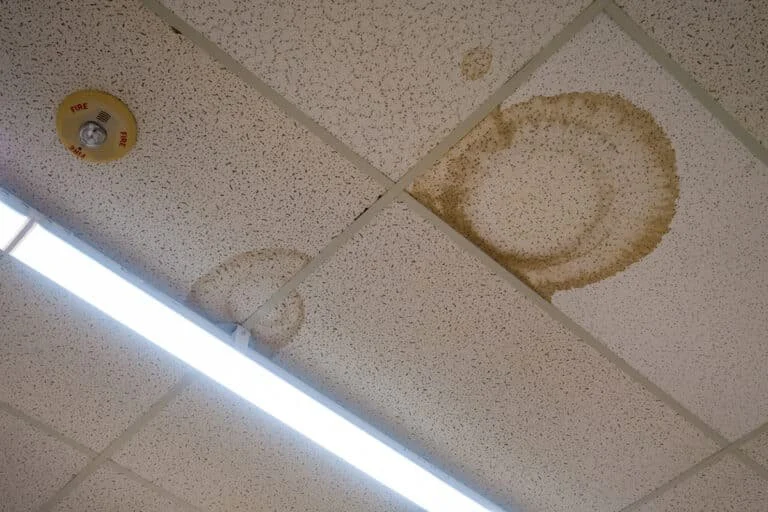 How to Handle Water Damage in Your Office Building’s Ceiling: A Comprehensive Guide