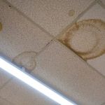 How to Handle Water Damage in Your Office Building’s Ceiling: A Comprehensive Guide