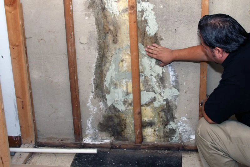 How to Fix Water-Damaged Insulation in Your Home