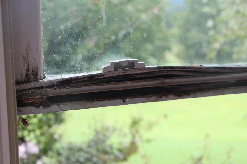 How to Identify and Repair Water Damage in Your Windows and Doors