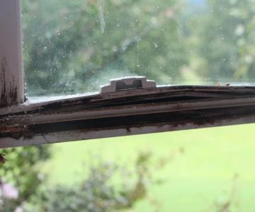 How to Identify and Repair Water Damage in Your Windows and Doors