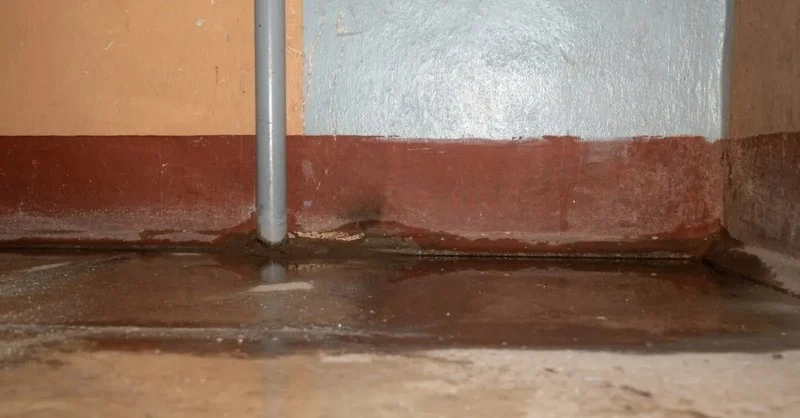 How to Prevent Mold After Basement Flooding