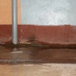 How to Prevent Mold After Basement Flooding