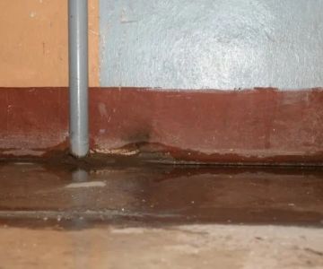 How to Prevent Mold After Basement Flooding