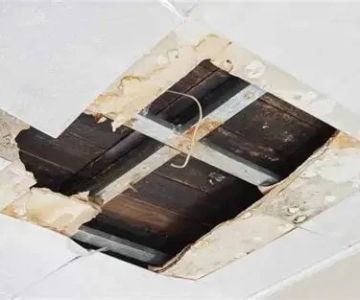How to Restore Water-Damaged Ceiling Tiles in Your Home or Office