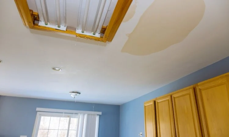 How to Restore Water-Damaged Residential Interiors: Step-by-Step Guide