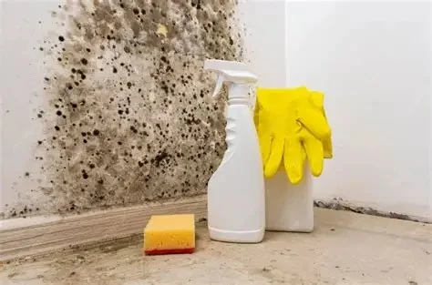 How to Safely Clean Black Mold After Water Damage
