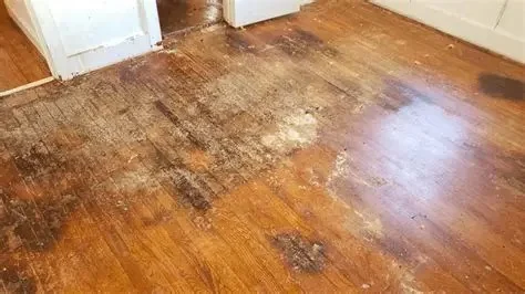 How to Restore Water-Damaged Hardwood Flooring in Your Home