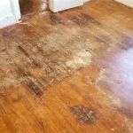How to Restore Water-Damaged Hardwood Flooring in Your Home