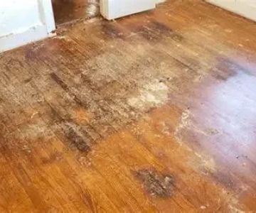 How to Restore Water-Damaged Hardwood Flooring in Your Home