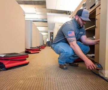 Why Professional Water Damage Restoration Services Are Worth the Cost