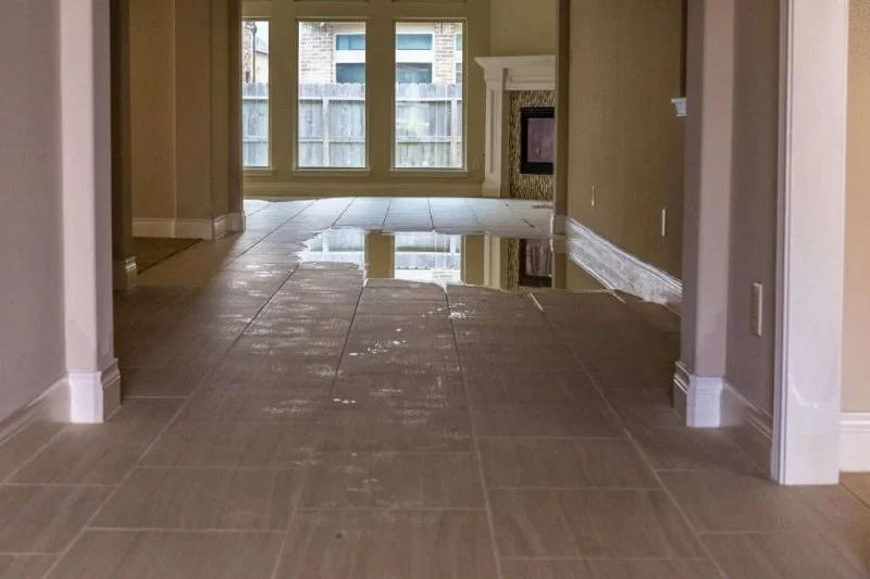 How to Assess the Extent of Water Damage in Your Home