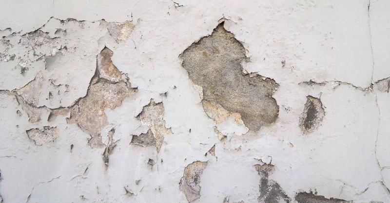 How to Fix Water-Damaged Paint and Peeling Walls
