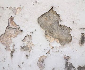 How to Fix Water-Damaged Paint and Peeling Walls