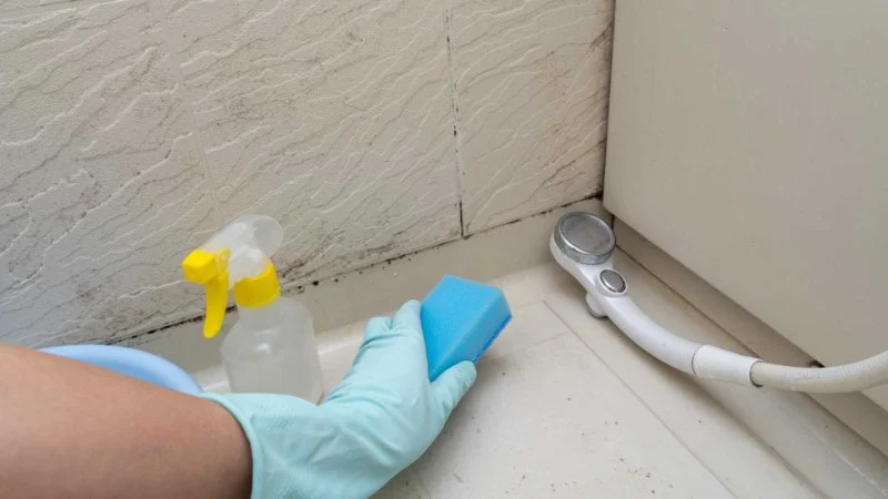 How to Clean and Disinfect After Sewage Water Damage