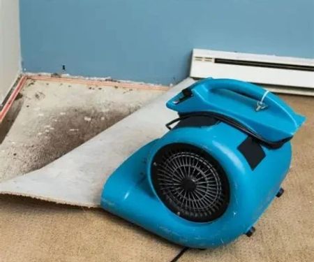 How to Restore Water-Damaged Residential Interiors