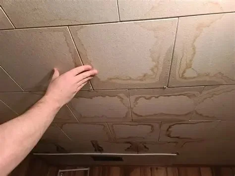 How to Fix Water Damage in Basement Ceilings Without Full Replacement | Reliable Damage Hub