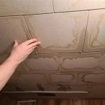 How to Fix Water Damage in Basement Ceilings Without Full Replacement | Reliable Damage Hub