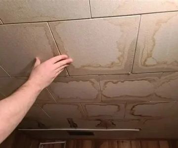 How to Fix Water Damage in Basement Ceilings Without Full Replacement | Reliable Damage Hub
