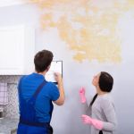 How to Get Rid of Musty Smell After Water Damage in Your Home