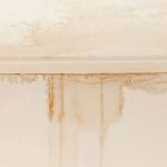 How to Repair Water Damage Around Complete Indoor Interiors: Step-by-Step Restoration Guide